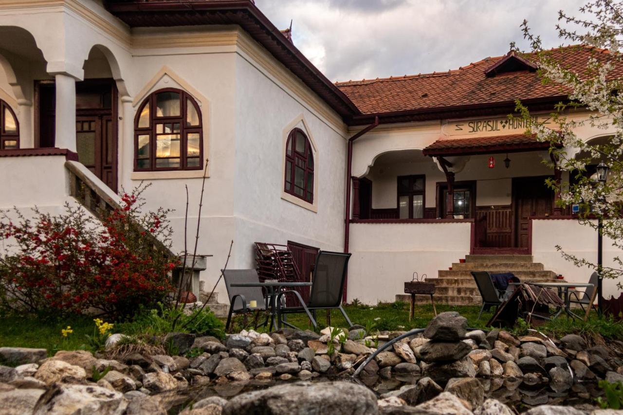 Surasul Muntelui Daire Dragoslavele Dış mekan fotoğraf