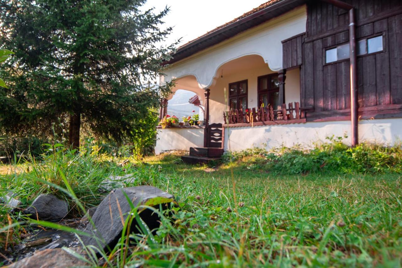 Surasul Muntelui Daire Dragoslavele Dış mekan fotoğraf
