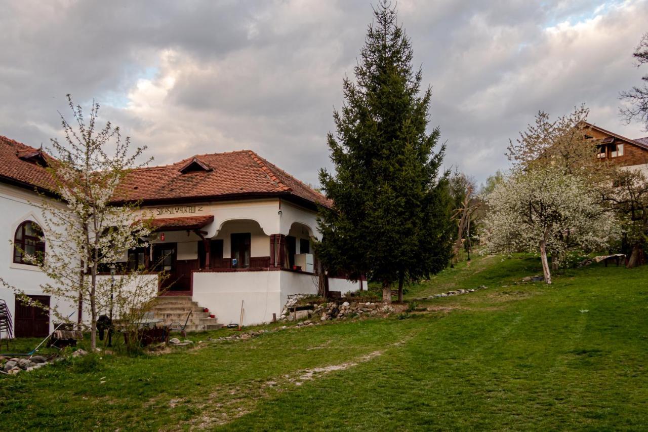 Surasul Muntelui Daire Dragoslavele Dış mekan fotoğraf