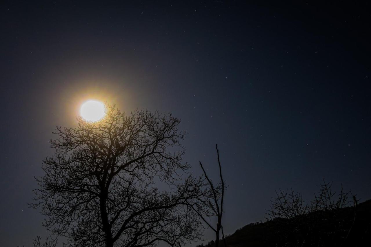 Surasul Muntelui Daire Dragoslavele Dış mekan fotoğraf
