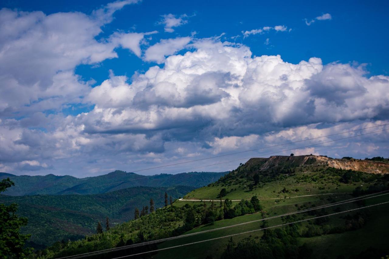 Surasul Muntelui Daire Dragoslavele Dış mekan fotoğraf