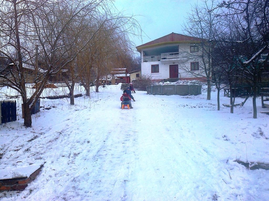 Surasul Muntelui Daire Dragoslavele Dış mekan fotoğraf