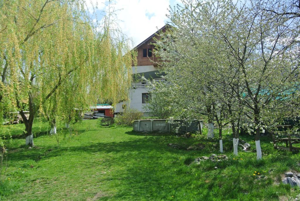 Surasul Muntelui Daire Dragoslavele Dış mekan fotoğraf