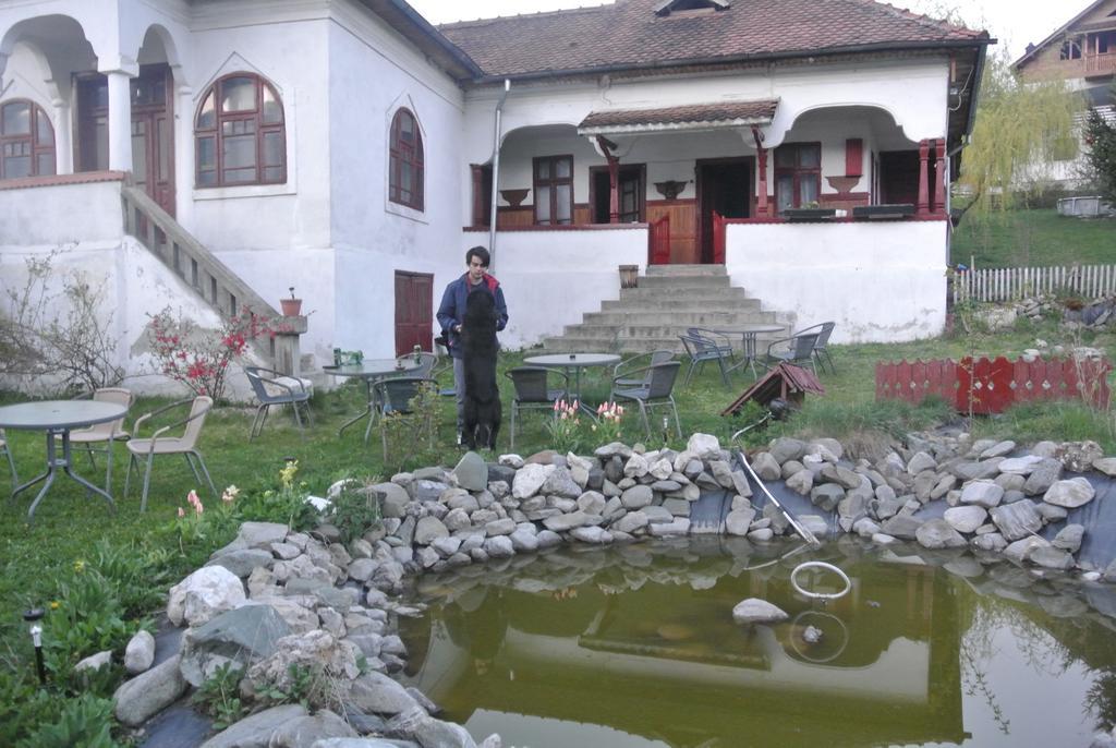 Surasul Muntelui Daire Dragoslavele Dış mekan fotoğraf