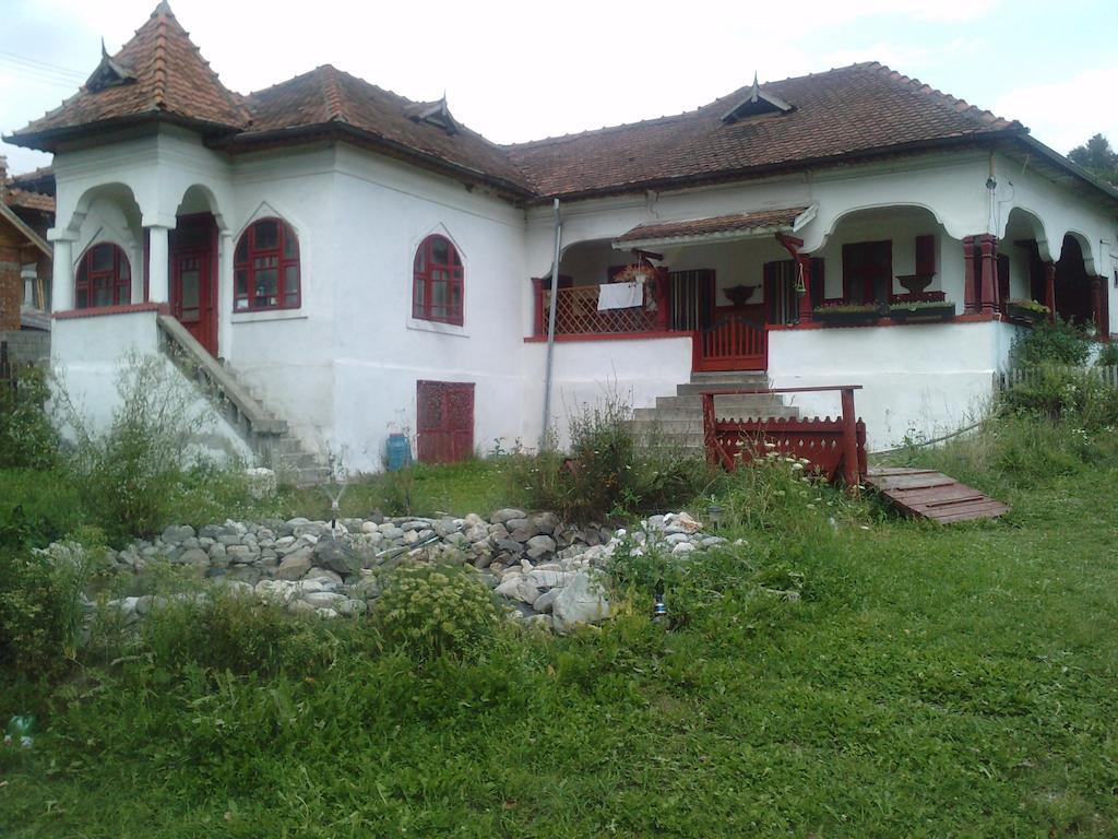Surasul Muntelui Daire Dragoslavele Dış mekan fotoğraf