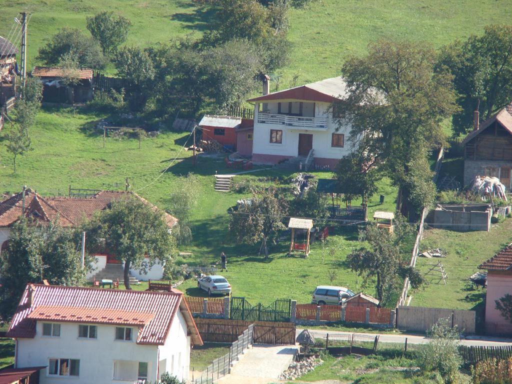 Surasul Muntelui Daire Dragoslavele Dış mekan fotoğraf
