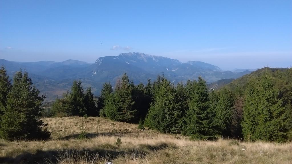 Surasul Muntelui Daire Dragoslavele Dış mekan fotoğraf