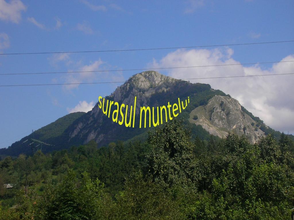 Surasul Muntelui Daire Dragoslavele Dış mekan fotoğraf