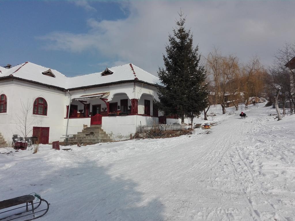 Surasul Muntelui Daire Dragoslavele Dış mekan fotoğraf