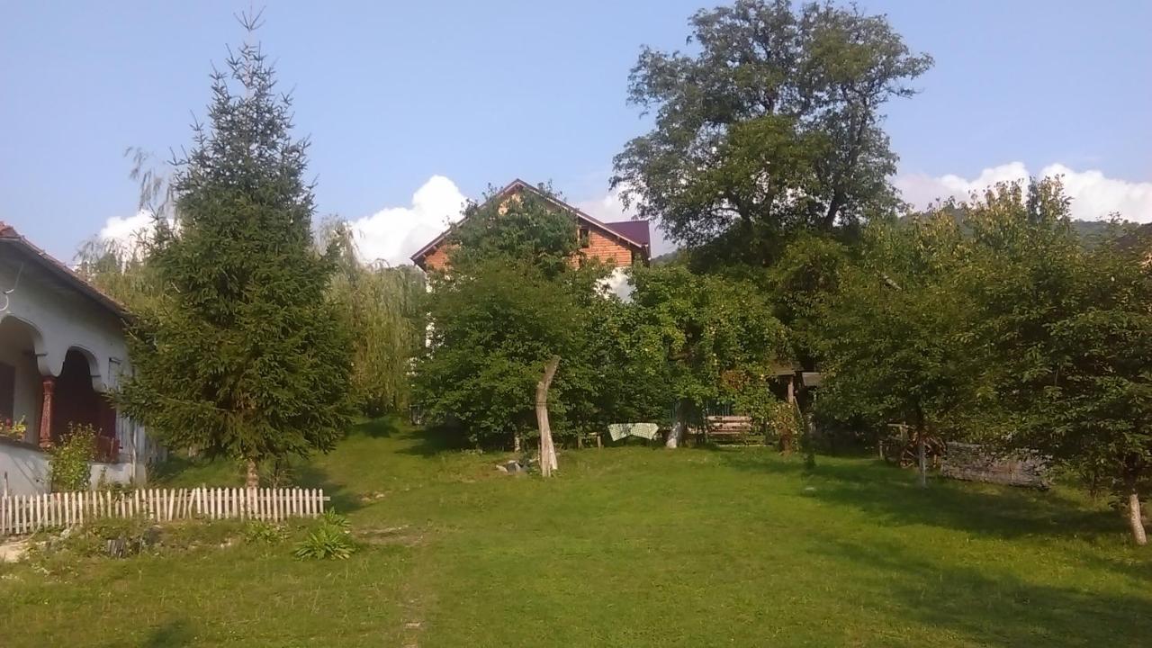 Surasul Muntelui Daire Dragoslavele Oda fotoğraf